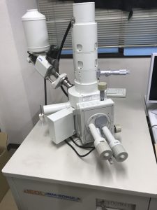 SEM(Scanning Electron Microscopy)